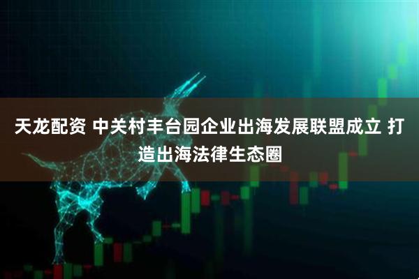 天龙配资 中关村丰台园企业出海发展联盟成立 打造出海法律生态圈