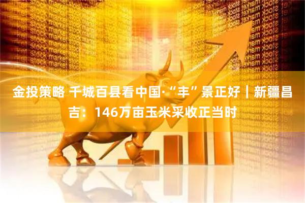 金投策略 千城百县看中国·“丰”景正好｜新疆昌吉：146万亩玉米采收正当时