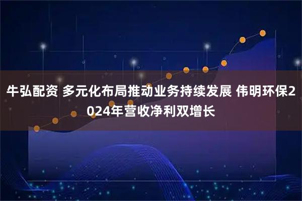 牛弘配资 多元化布局推动业务持续发展 伟明环保2024年营收净利双增长
