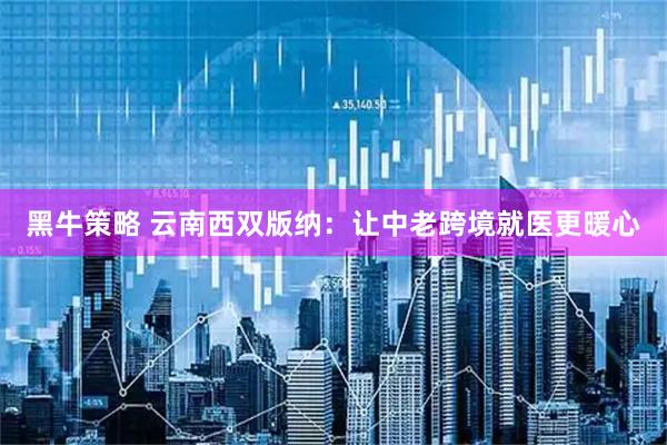 黑牛策略 云南西双版纳：让中老跨境就医更暖心